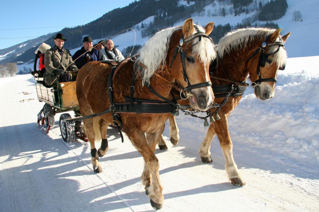 "Schoen-Urlauben" Grobming Buitenkant foto